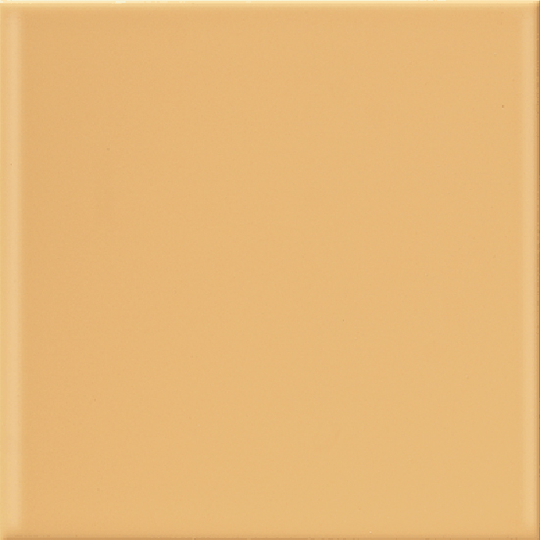Kakel Arredo Color Kako Orange Matt 20x20 cm